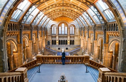 greatlittlebreaks - uk virtual tour - natural history museum